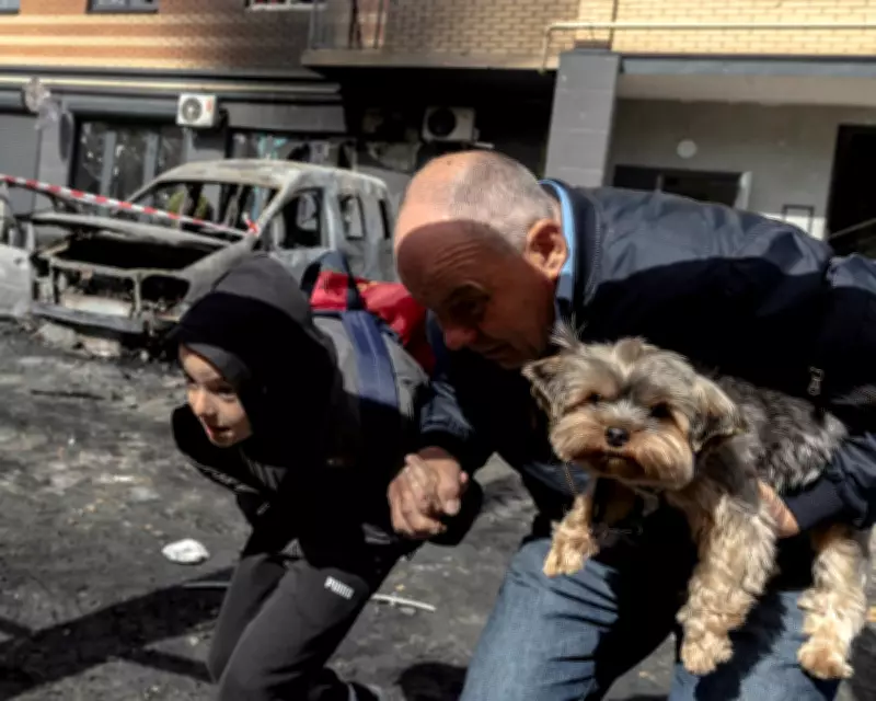 Drone Attacks Hit Kyiv Amid Swallow Nestling Photos