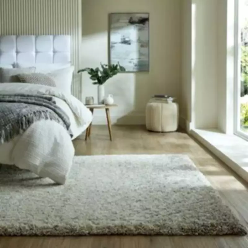 Dunelm Shaggy Rug at Lowest Price: Shoppers Buy Multiple