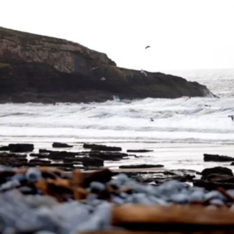 Dunraven Bay: Wales' Hidden Gem Beach Named a 'Wonder' by Condé Nast