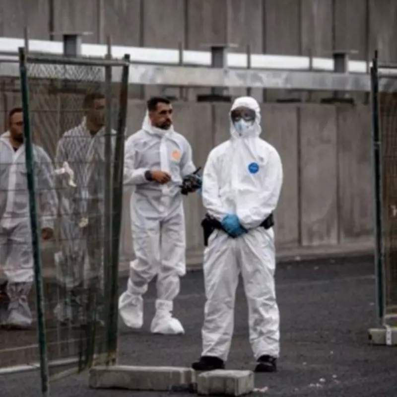 Dutch Hospital Workers in Quarantine After PPE Breach in Hantavirus Case