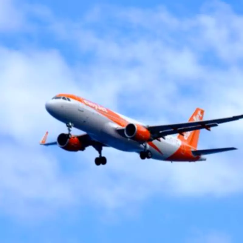EasyJet Probed by Italian Antitrust Over Unfair Baggage Fee Practices