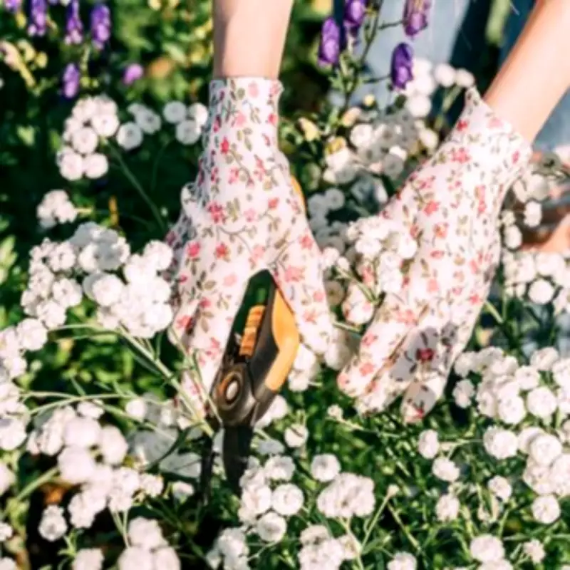 Eight Essential May Gardening Jobs for Colourful Summer Blooms