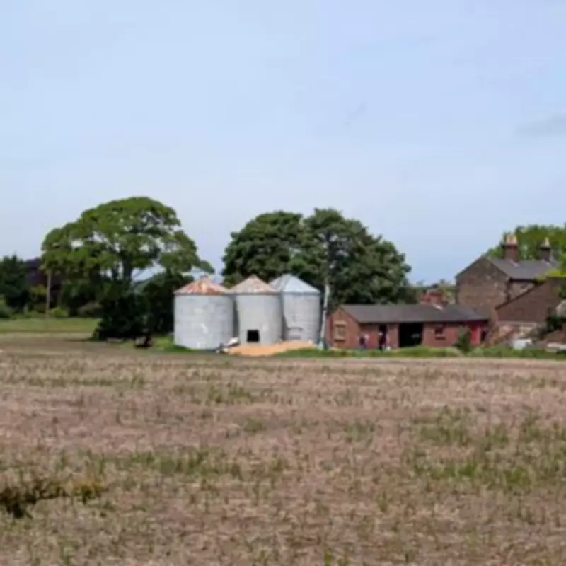Elderly Farmer Dies in Silo Accident Despite Rescue Bid