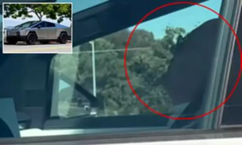 Elderly Tesla Cybertruck Driver Caught Sleeping as Vehicle Drives Autonomously