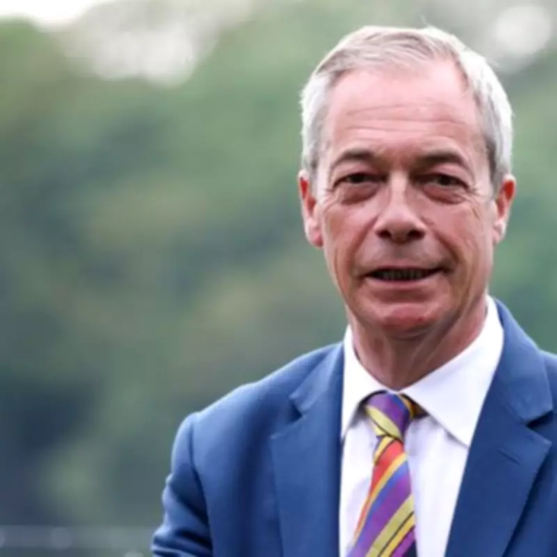 Elon Musk Accuses Nigel Farage of Lying Over Cash Offer Claims