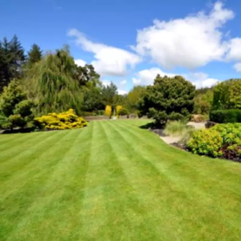 Epsom Salt: The Bathroom Staple for a Thicker, Greener Lawn This Spring