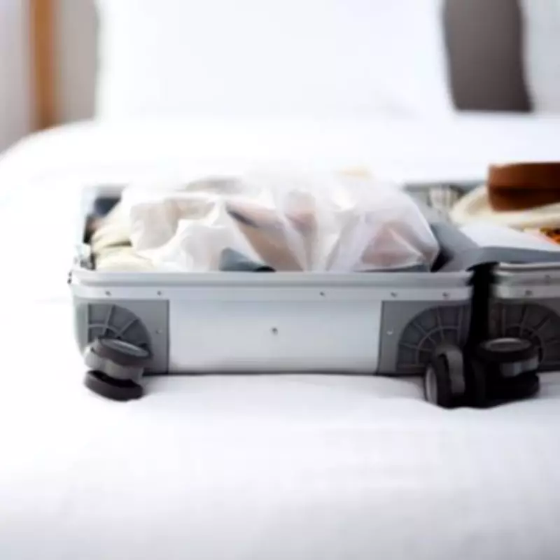 Essential Travel Rule to Avoid Bringing Bed Bugs Home