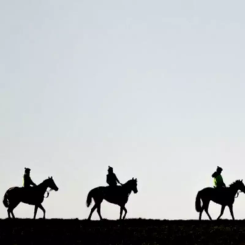 Ex-Trainer's Father 'Disregarded Regulations' in Fatal Horse Walker Incident