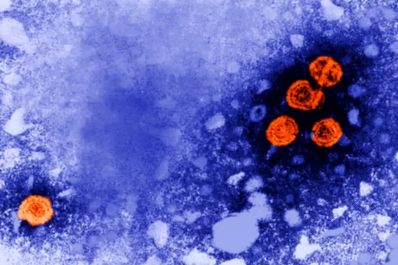 Experimental Hepatitis B Drug Shows Promise for 'Functional Cure' in Some Patients