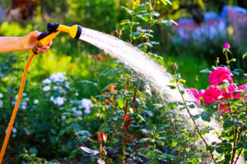 Expert Tips: Best Time to Water Plants During UK Heatwave