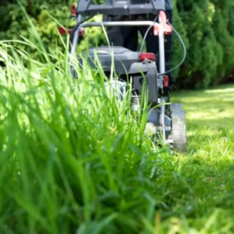 Expert Warns Against Triple Action Lawn Products in May