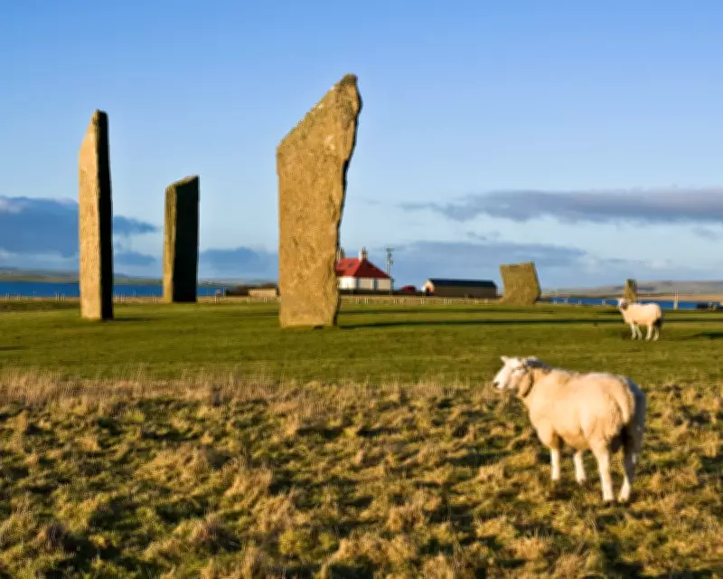 Explore Orkney's Neolithic Wonders for Just £2 on New Bus Fare Cap