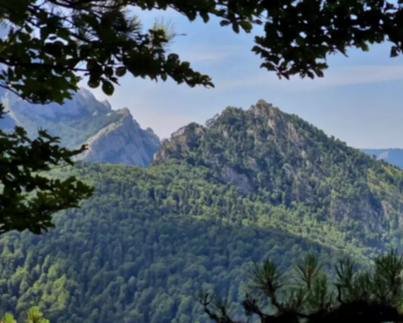 Exploring Perućica: Europe's Oldest Primeval Forest in Bosnia
