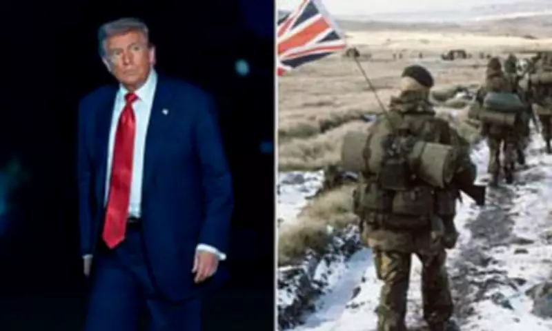 Falklands Leader Accuses Trump of Using Islands as Political Pawn