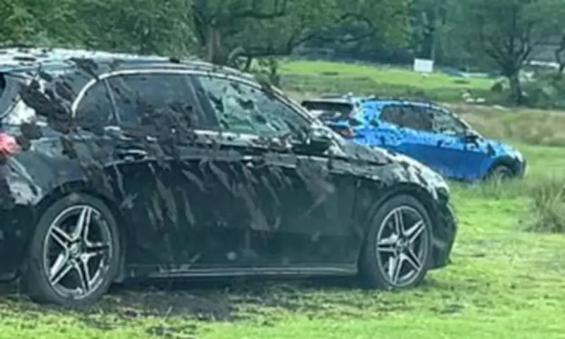Farmer sprays slurry on illegally parked cars in Lake District