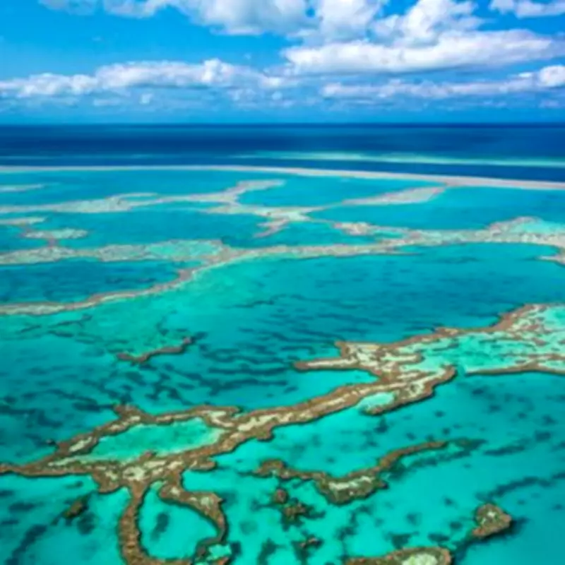 Fatal Shark Attack on Great Barrier Reef Days After Another Death