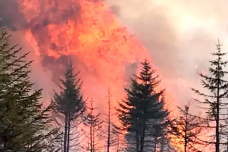 Firefighters Battle Wildfire in Pentland Hills Near Edinburgh