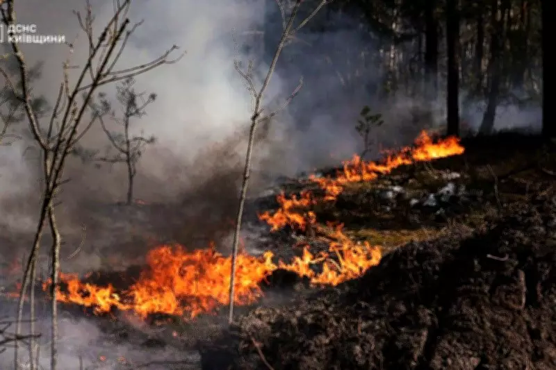 Fires Erupt in Chernobyl Exclusion Zone, Russia Monitors Radiation
