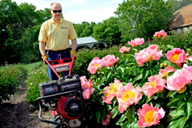 Five Gardening Myths Debunked That Could Ruin Your Plants