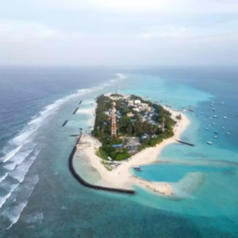 Five Italian Tourists Die in Maldives Scuba Diving Accident