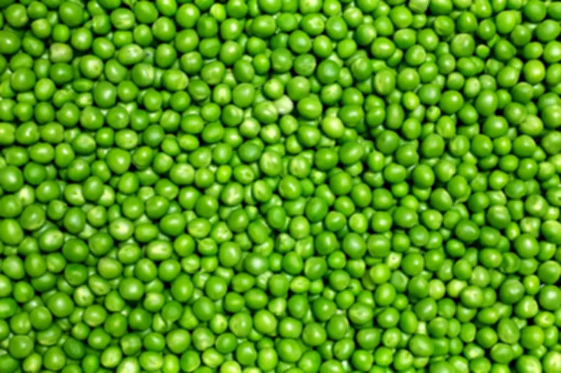 Five Reasons to Add Peas to Your Diet for Better Health