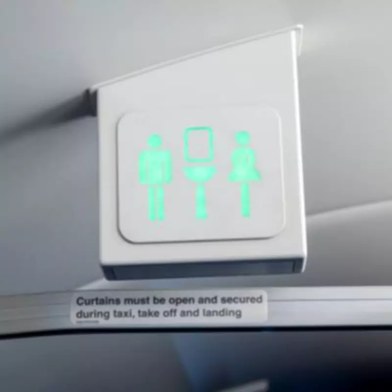Flight Attendant Horrified by Passengers Using Plane Toilets Barefoot