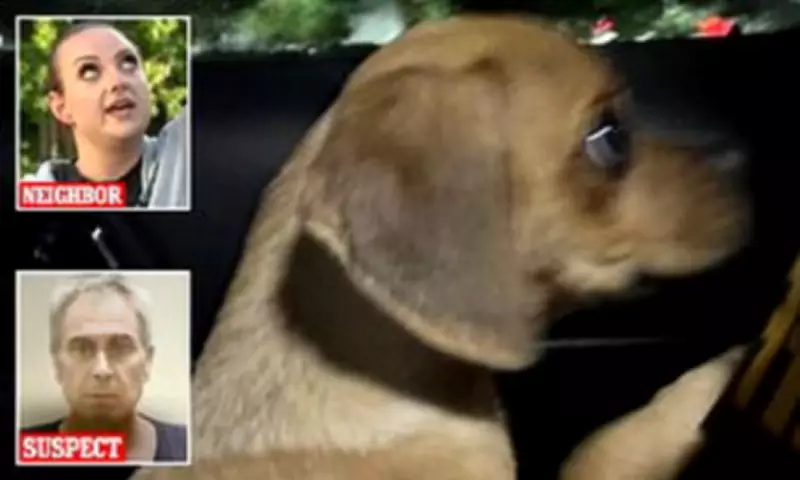 Florida Man Charged After Puppy Found with Cocaine in System