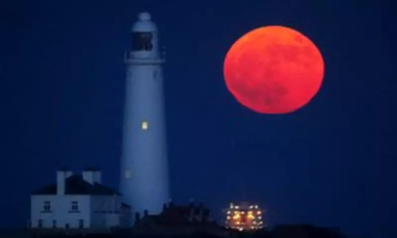 Flower Moon and Micromoon to Dazzle UK Skies Tonight