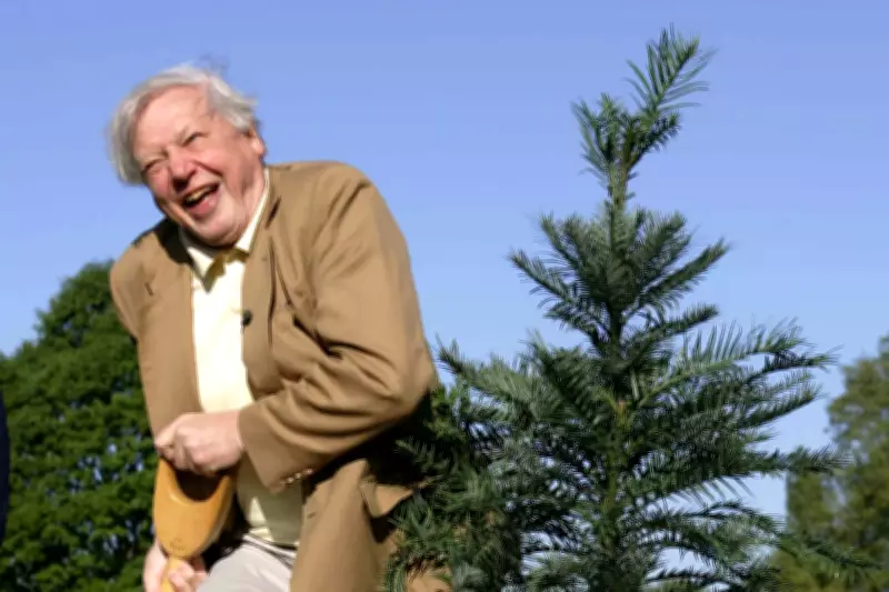 From Dinosaurs to Butterflies: Species Named After Sir David Attenborough