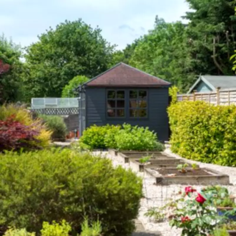 Gardeners Urged to Add Natural Item to Soil Before UK Heatwave