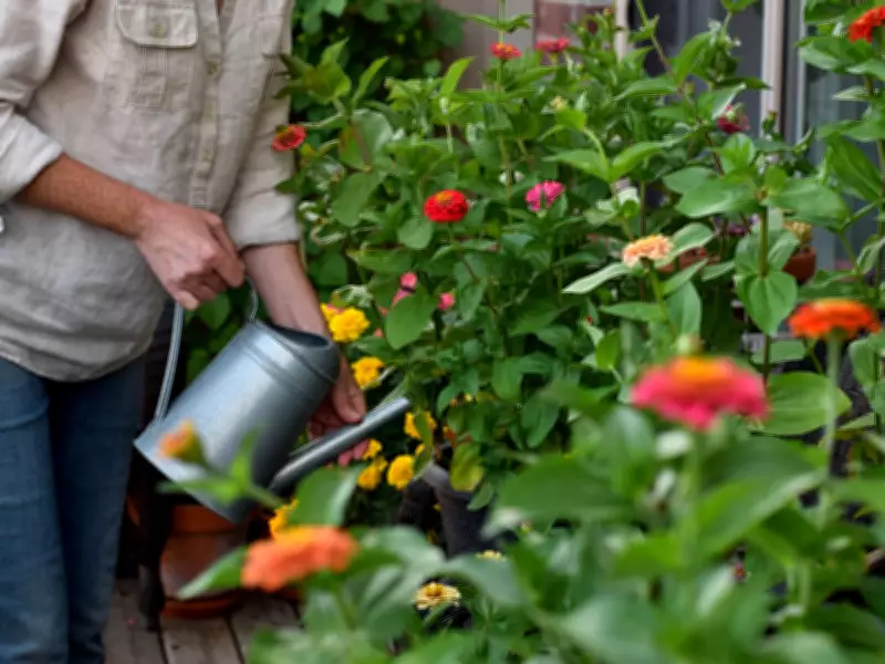 Gardeners Urged to Use Soaking Method for Plants in UK Heatwave