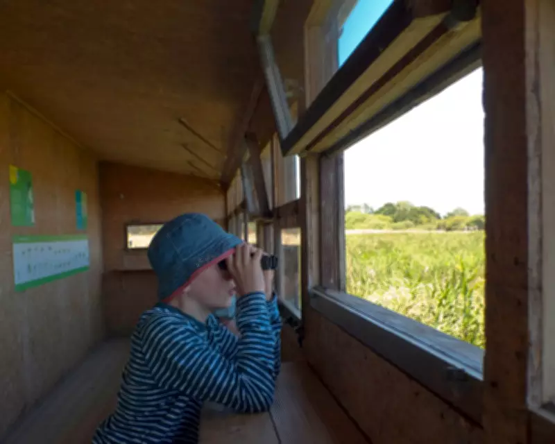 Gen Z Leads Birdwatching Boom as Hobby Sees 47% Increase Since 2018