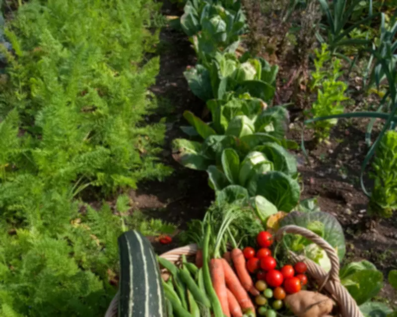 Give Your Veg Patch a Fresh Start: Gardening Tips for a Better Season