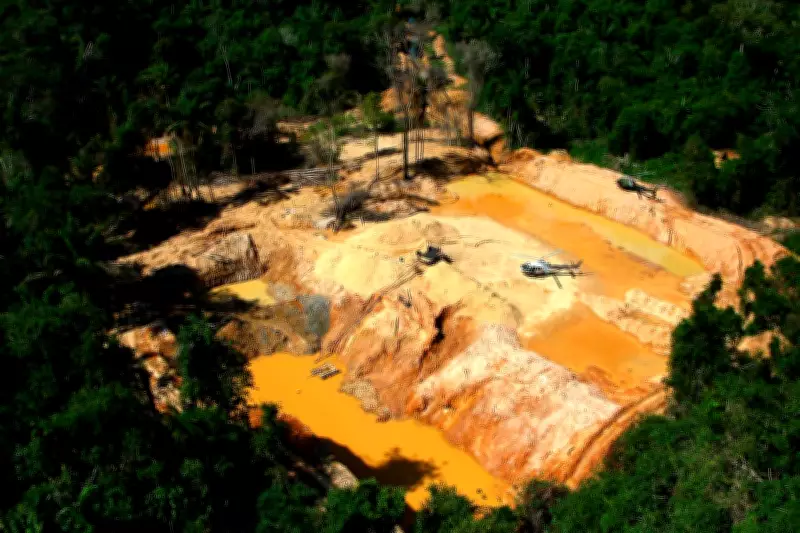 Gold Rush Drives Amazon Deforestation and Mercury Crisis in Brazil
