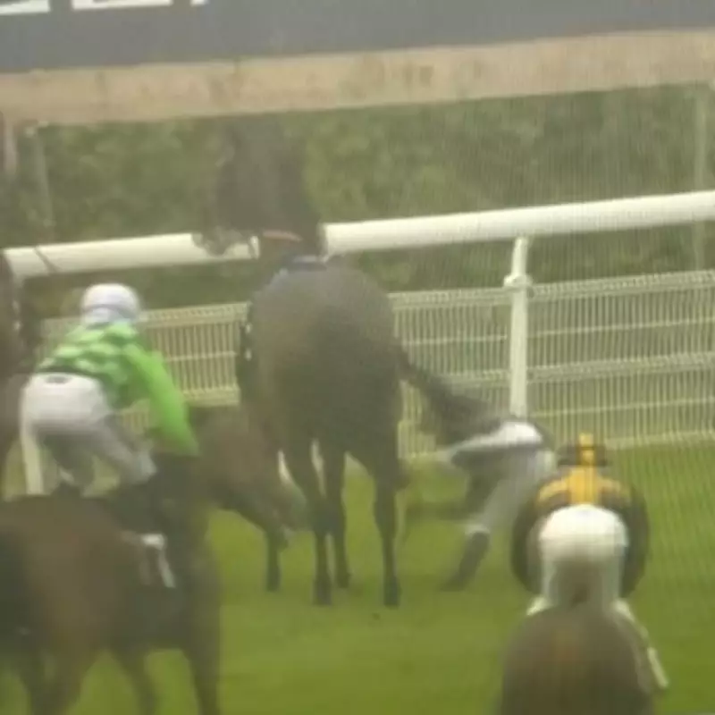 Goodwood Races Abandoned After Winning Horse Slips, Jockey Falls