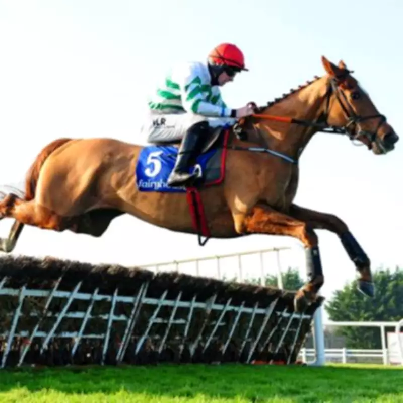 Gordon Elliott and Jack Kennedy Return to US with Zanahiyr for Iroquois Stakes