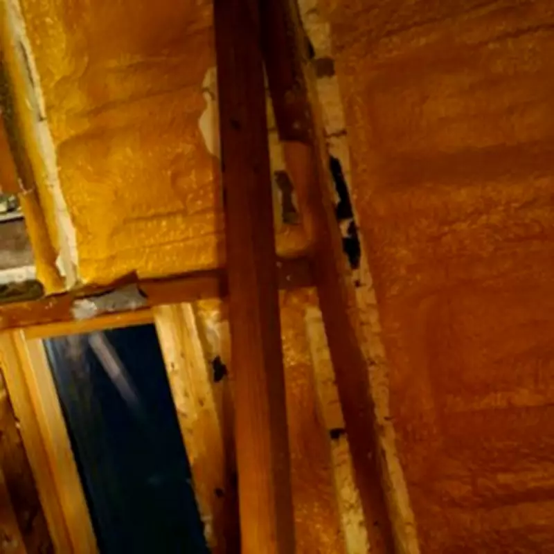 Grandmother, 76, Trapped in Home After Paying £13K to Rogue Builders