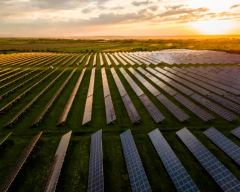 Green Transition Urgent: Politicians Must Accelerate Renewable Shift