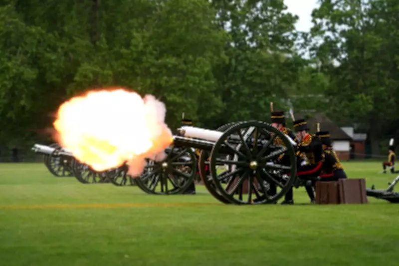 Gun Salute Marks King's Coronation Anniversary After Duckling Rescue