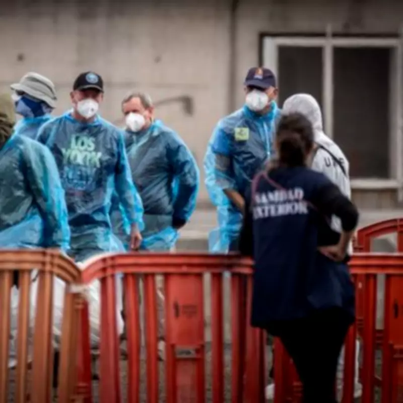 Hantavirus Expert Says UK Outbreak Unlikely to Match Covid-19 Scale