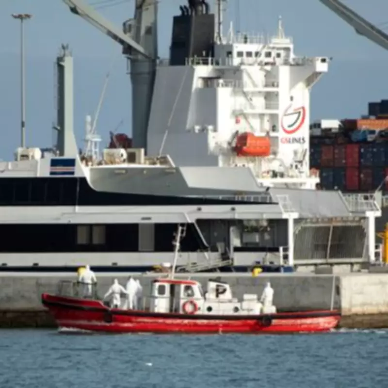 Hantavirus Outbreak Map: Countries Linked to Cruise Ship Deaths