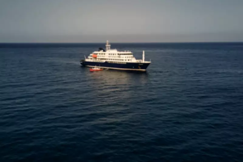 Hantavirus Strain Found in Cruise Ship Passengers, Human Transmission Confirmed