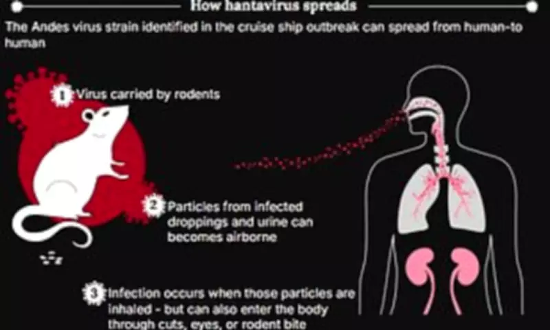 Hantavirus Super-Spreader Warning After Cruise Ship Exposure