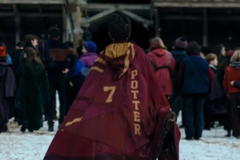 Harry Potter TV Series Renewed for Season 2 Before Premiere
