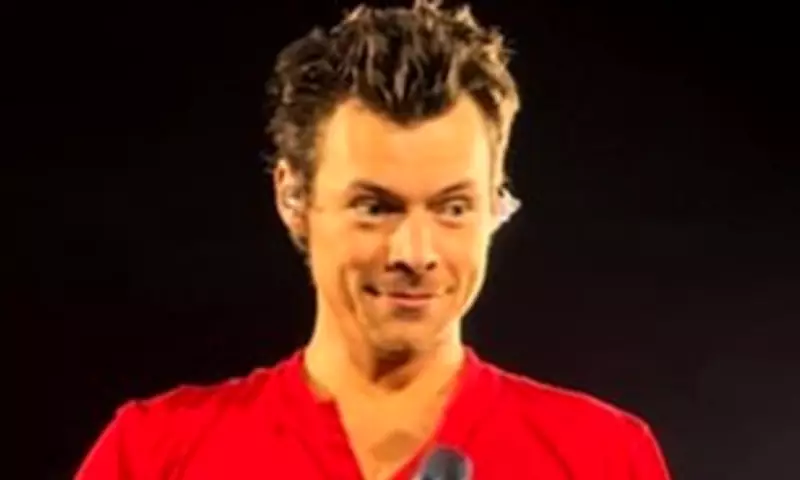 Harry Styles Fans Get Engaged During Amsterdam Concert, Singer Reacts