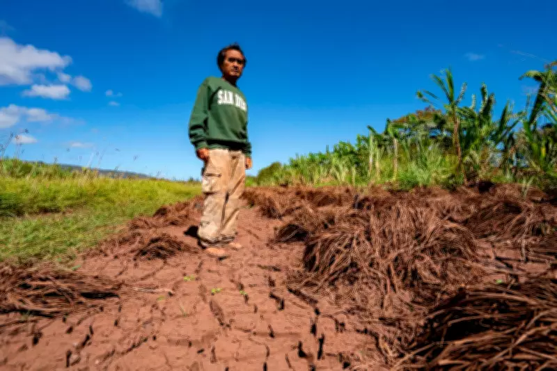 Hawaii Floods Devastate Farms, Threaten Local Food Supply