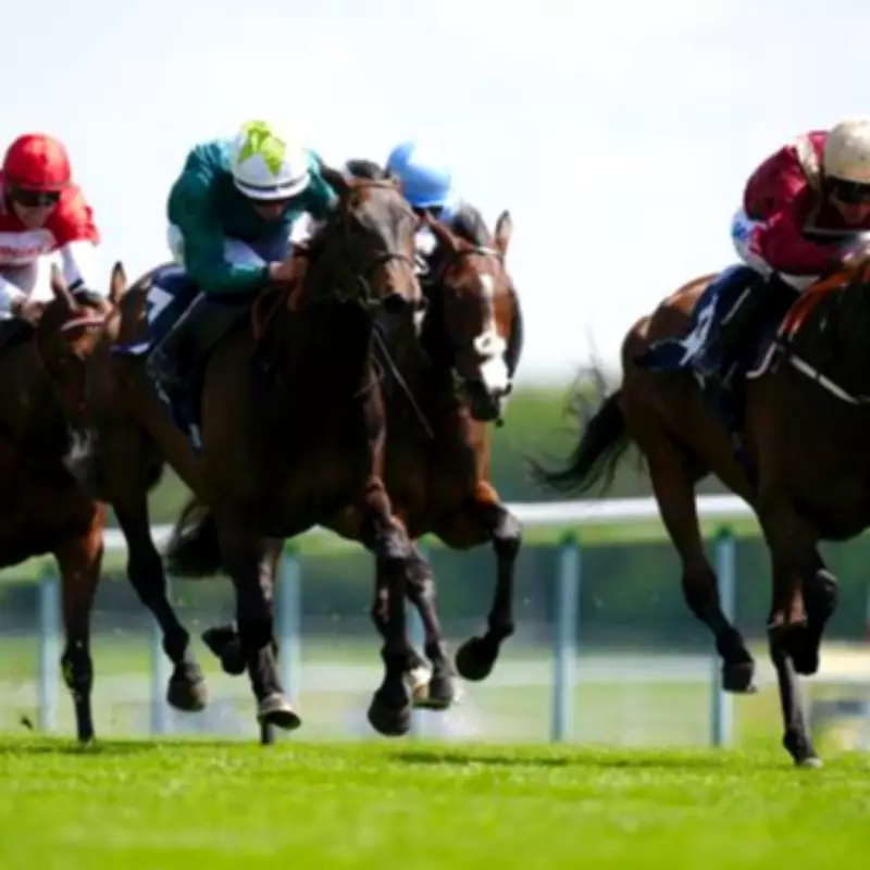 Haydock Race Delayed After Hole Discovered on Track During ITV Fixture