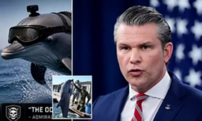 Hegseth Won't Confirm US 'Kamikaze Dolphins' in Iran Standoff