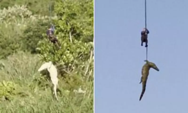 Helicopter Rescue of Crocodile with Human Remains in South Africa