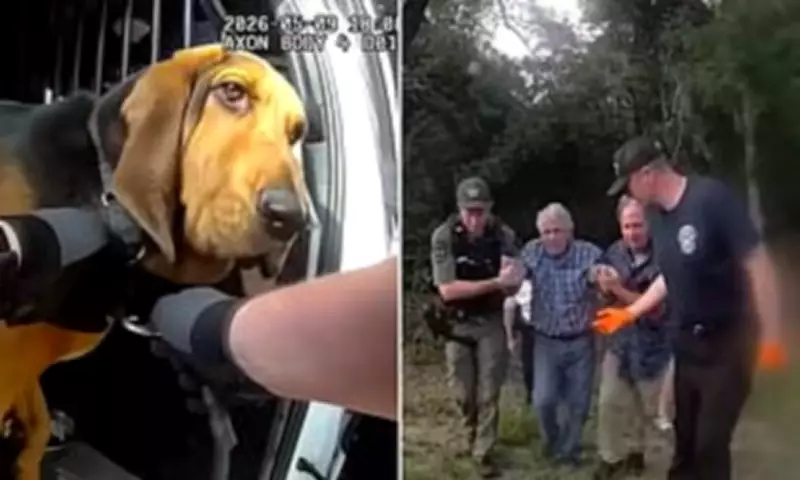 Heroic K-9 Boomer Locates Missing 96-Year-Old Man in Florida Woods